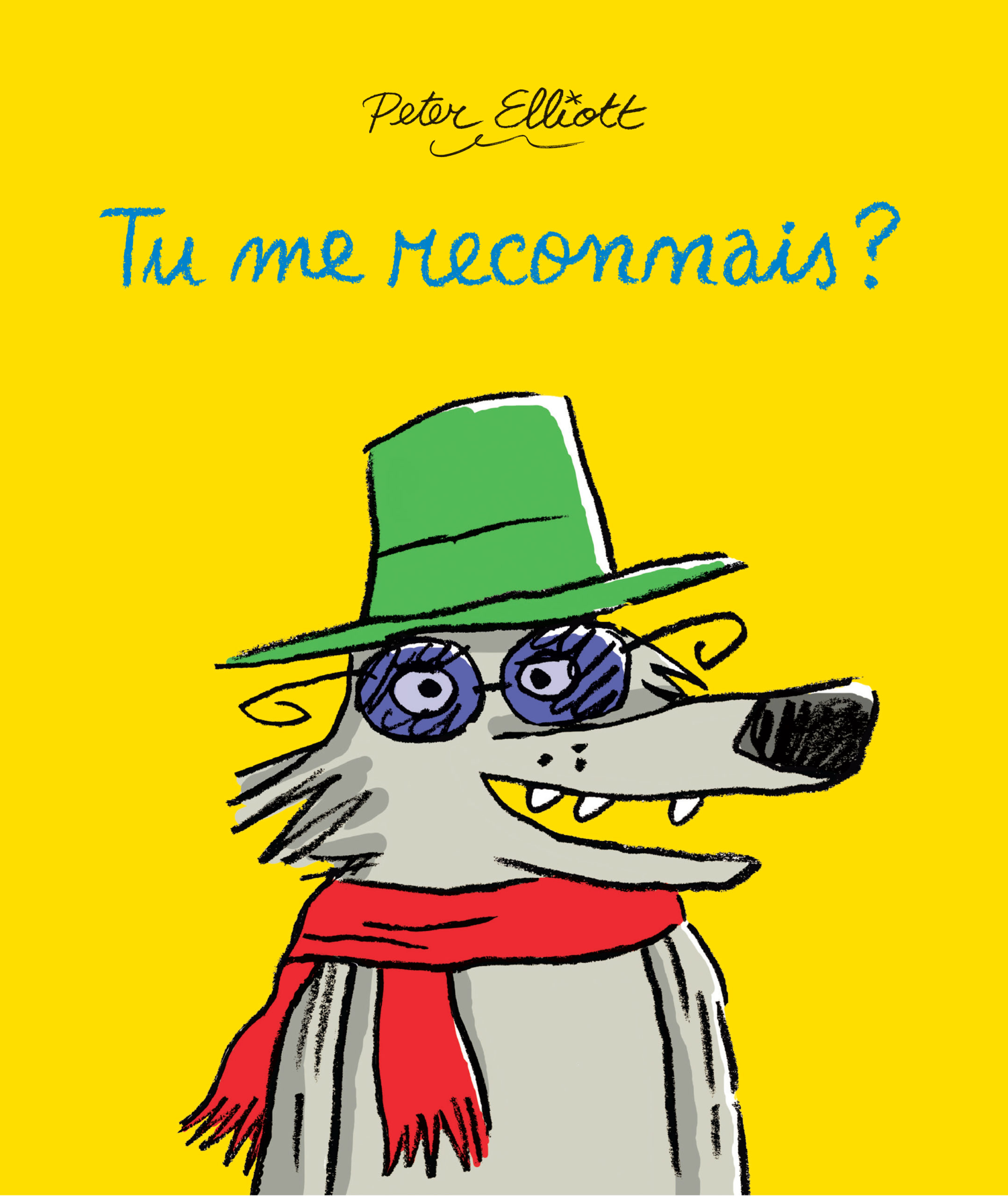 TuMeReconnais-couvEntiere Tu me reconnais ? Couverture